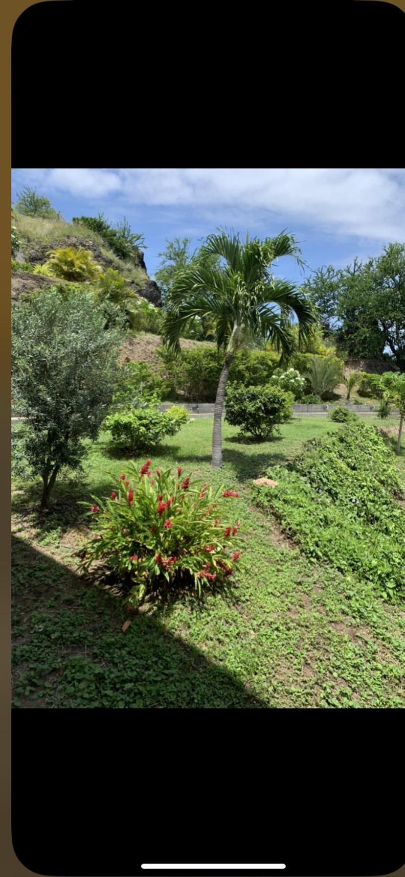 Kasamia Studio Boucan Canot Grand Fond Dış mekan fotoğraf